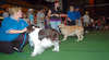 Top End Pet Expo