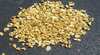 Gympie Gold Rush Festival Gold Panning Championships