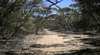 Gym Beach Hike
