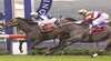 Gosford Race Club