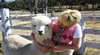 Rathdowney Alpaca Farm