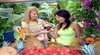 Gold Coast Food and Wine Trails