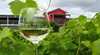 Flame Hill Vineyard and Restaurant