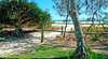 Cylinder Beach Holiday Park