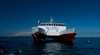 Reality Cruises