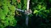 Tamborine Rainforest Skywalk