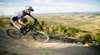 2010 Australian Solo 24 Hour MTB Championships