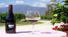 Bogong Estate - The Pinot People