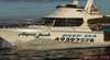 Lake Macquarie Fishing and Cruising Charters