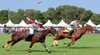 Paspaley Polo in the City