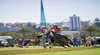 Paspaley Polo in the City