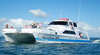 Freedom Whale Watch and Dive Charters