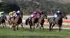 Kilmore Races