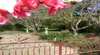 Dalebrook of Carcoar Guesthouse and Cottages