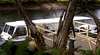 Riverlinks Tasmania - Discover The Leven River Cruises