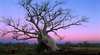Broome & The Kimberley Holidays