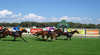 Alcoa Pinjarra Classic Day