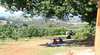 Cherryhill Orchards