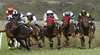 Muswellbrook Cup Carnival