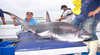 Gamerec Charters