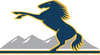Brumbies Headquarters - official merchandise shop