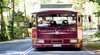Tamborine Mountain Tours