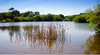 Kings Row - Bronte & Kinross - Daylesford