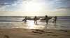 Surfs Up Surf School