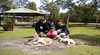 Perth Luxury Tours