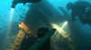 Aquatic Adventures - Rowville