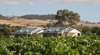 Barossa Vineyard Cottages