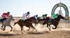 Bedourie Races