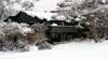 Ski In Ski Out Chalets