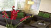 About Town Geelong City Apartment