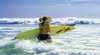 Ulladulla Beach