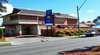 Comfort Inn the Rose
