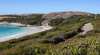 Great Ocean Pathway