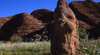 Cathedral Gorge, Purnululu National Park