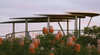 Reabold Hill Summit Boardwalk, Bold Park
