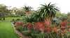 Indigenous Tours WA