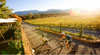 Pedal to Produce