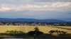 Houlaghans Valley Wines
