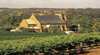 Shakespeare in the Vines - The Comedy of Errors