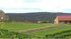 Austrian Heurigen - From Austria with Love