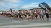 Honda North TriEvents Triathlon Series