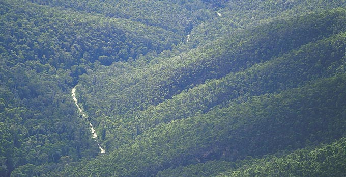 Blue Mountains
