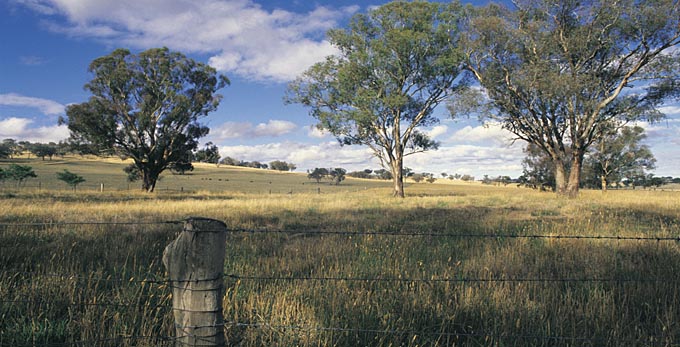Carcoar, Central NSW - rural