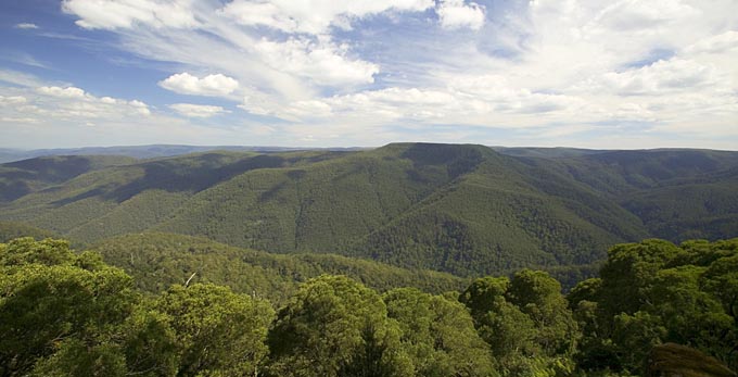 Barrington Tops National Park, Hunter - landscape mountains forest