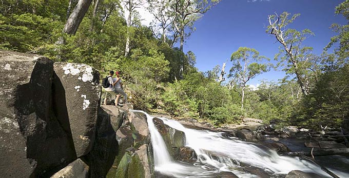 Hunter - waterfall forest