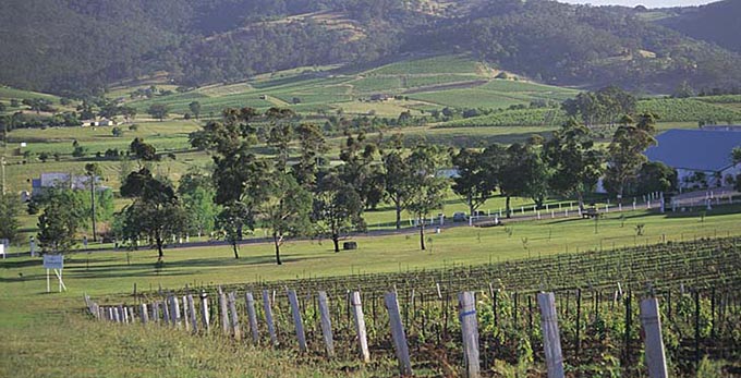 Hunter - landscape wineries